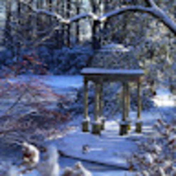 Meet your Posher, Lin - Picture 1 of 1